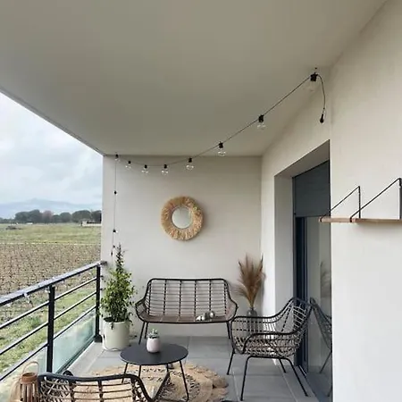 Vue Vigne