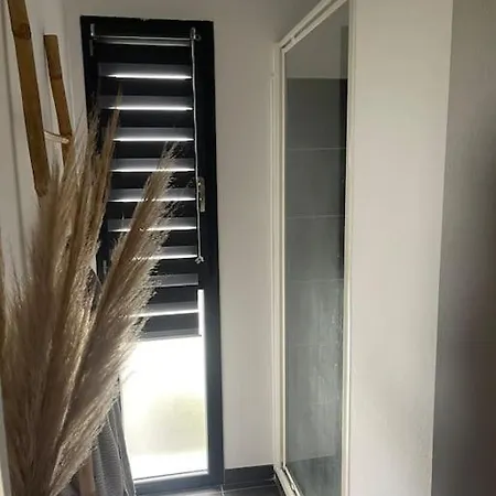 Vue Vigne