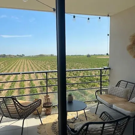 Vue Vigne Apartment Perpignan