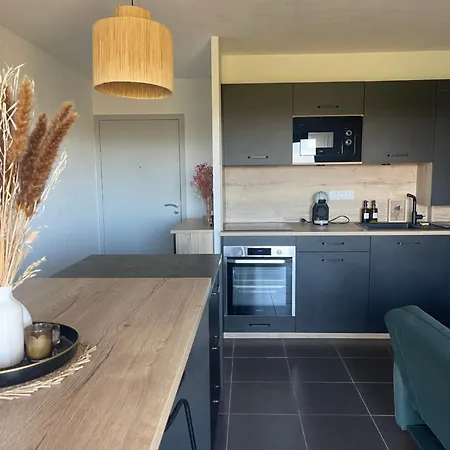 Vue Vigne Apartment Perpignan